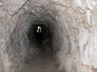 What Comes After The Pink Police State What Comes After The Pink Police State