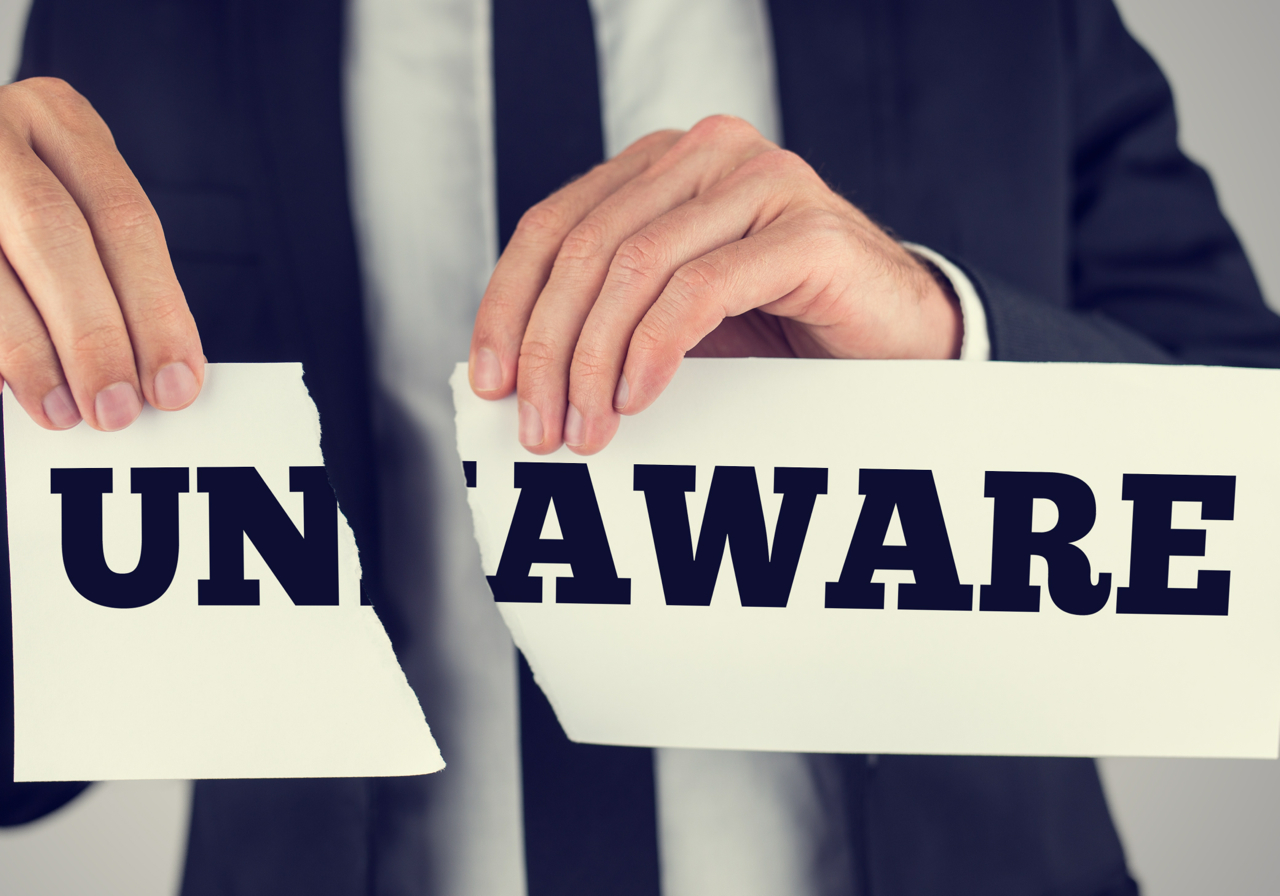 Alinsky method picture