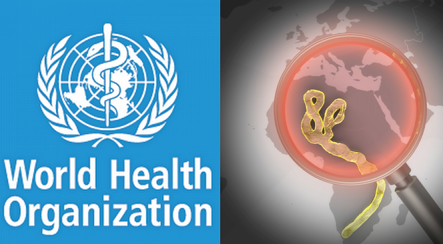 by Giovanni Cancemi / Flickr / World Health Organization