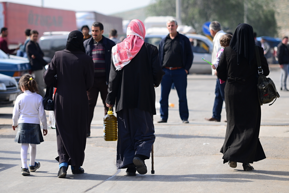 Procyk Radek / Shutterstock.com