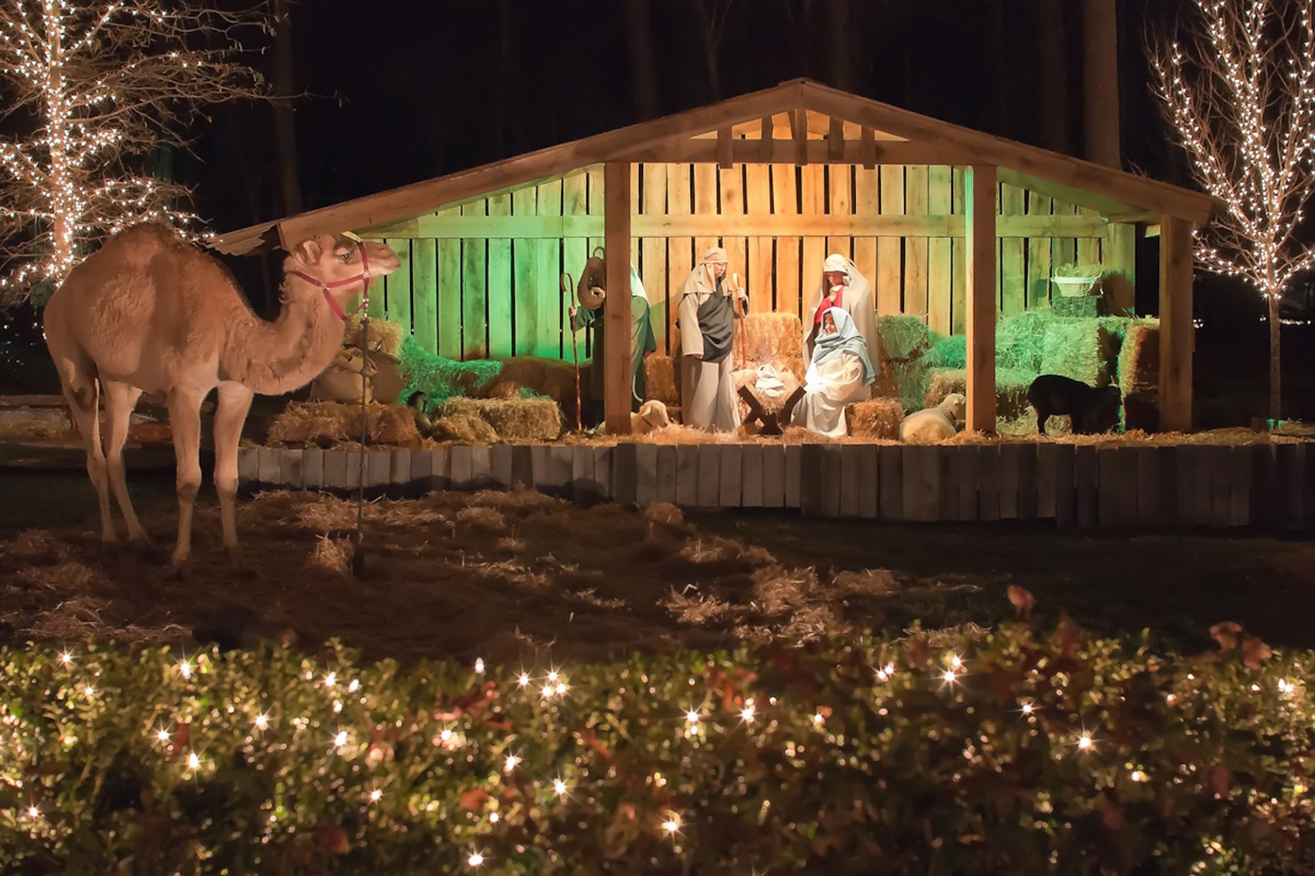 Creche (Nativity Scene)