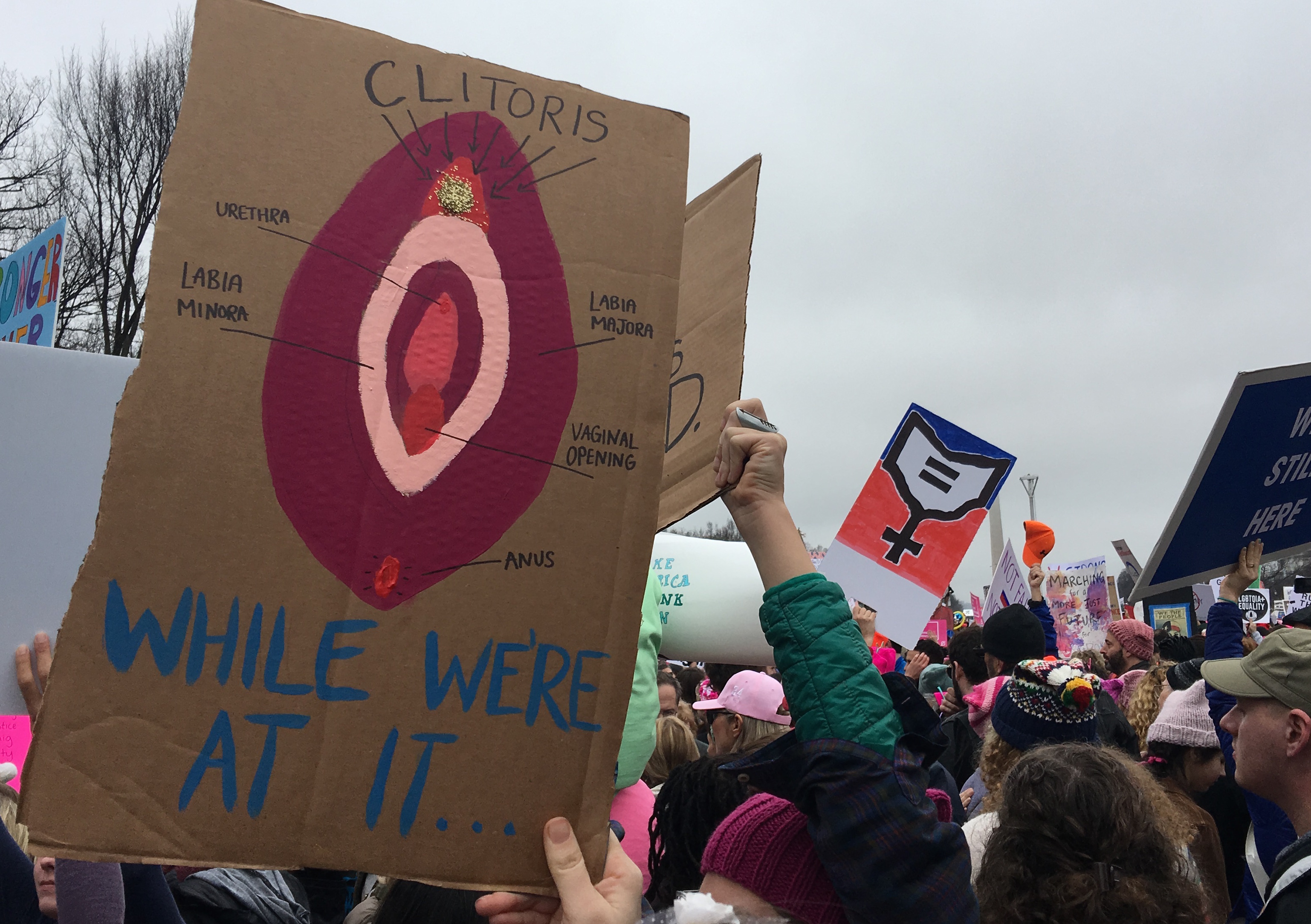 12 Things We Saw At The Women's March In Washington DC