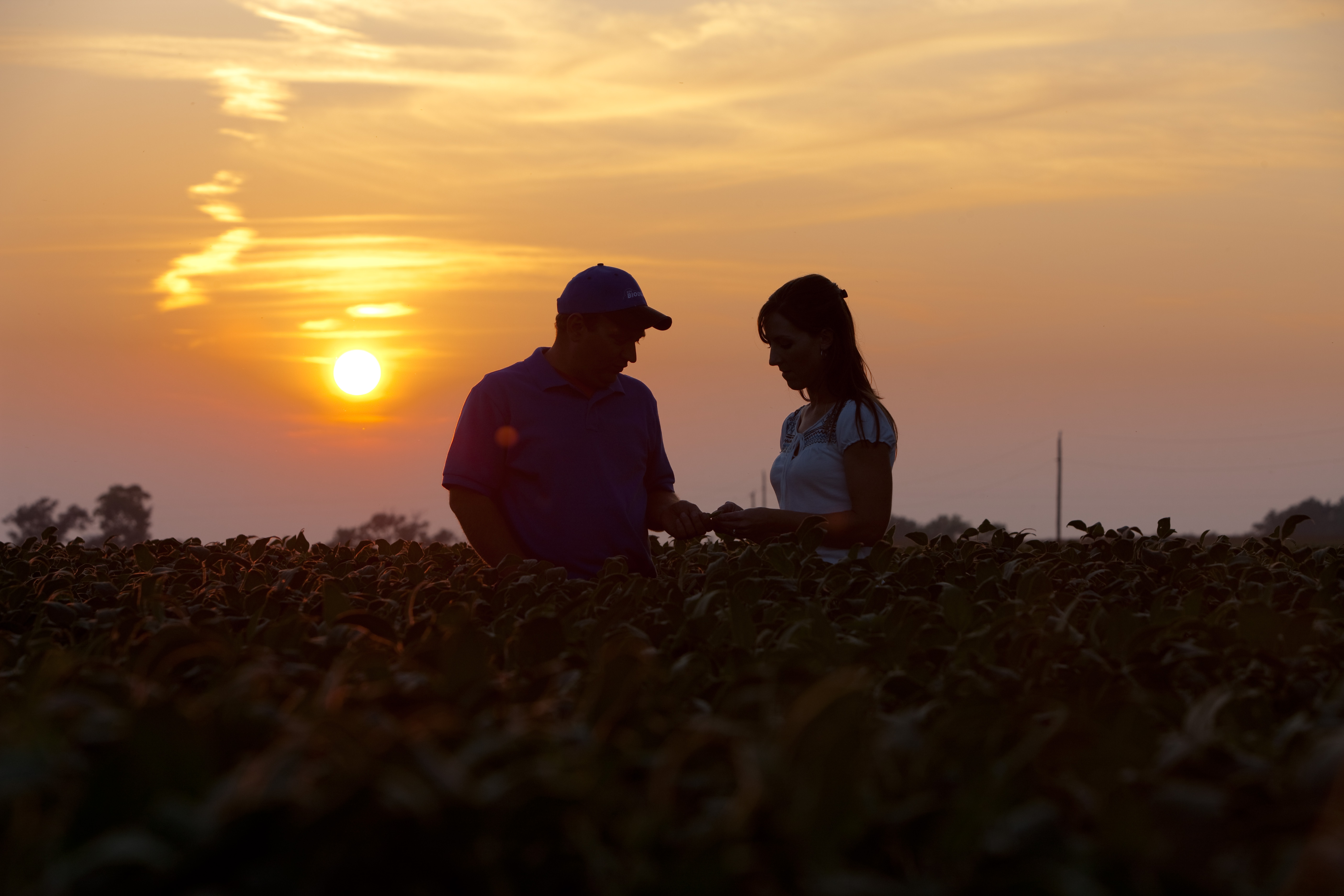 New Minnesota Law Seeks To Help Aspiring Farmers Get Started