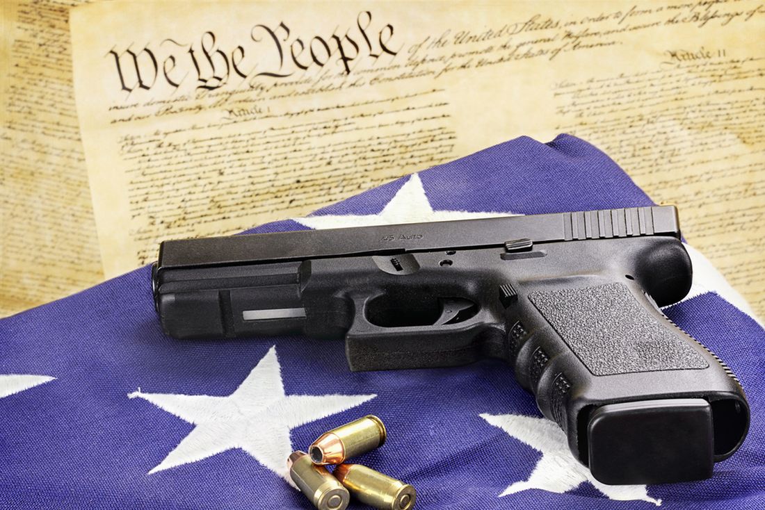 gun control public policy essay