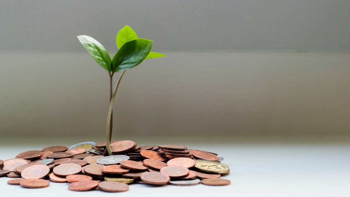a plant surrounded by pennies
