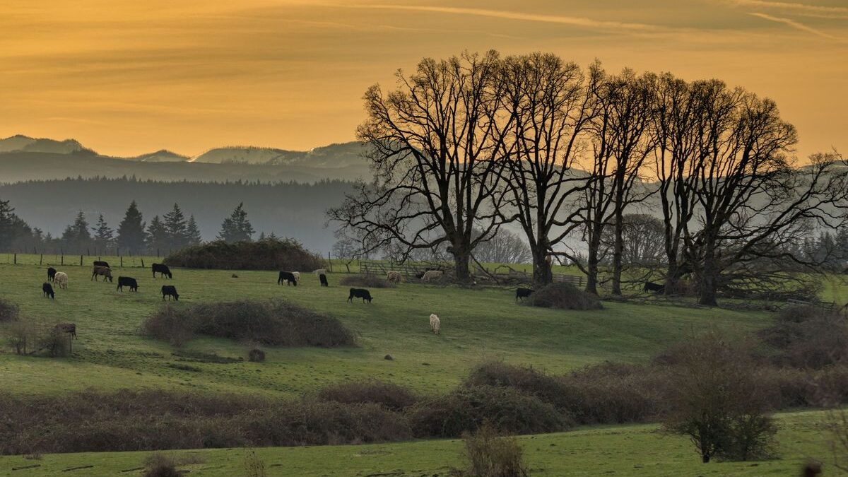 Ranch in Oregon.