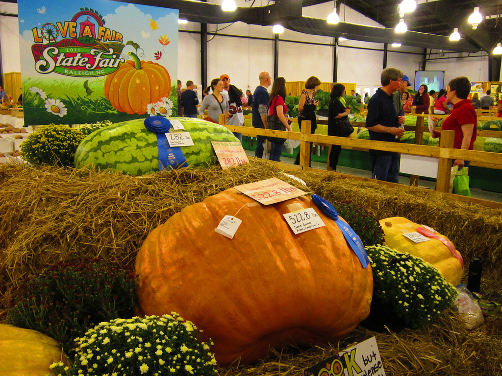 how-the-state-fair-gave-us-the-best-and-worst-day-ever