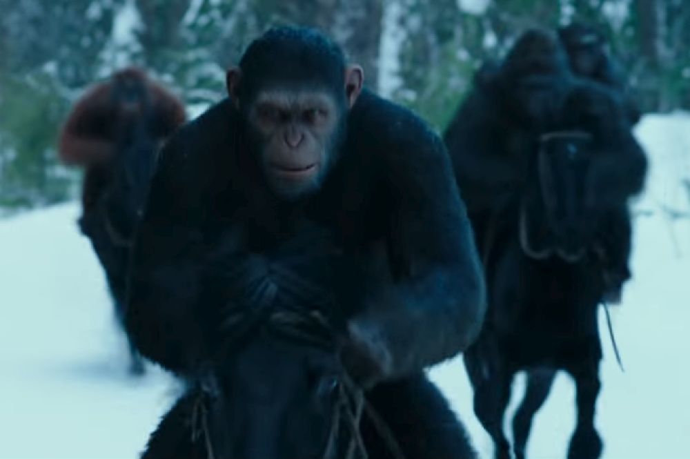 What ‘War For The Planet Of The Apes’ Reveals About Being Human