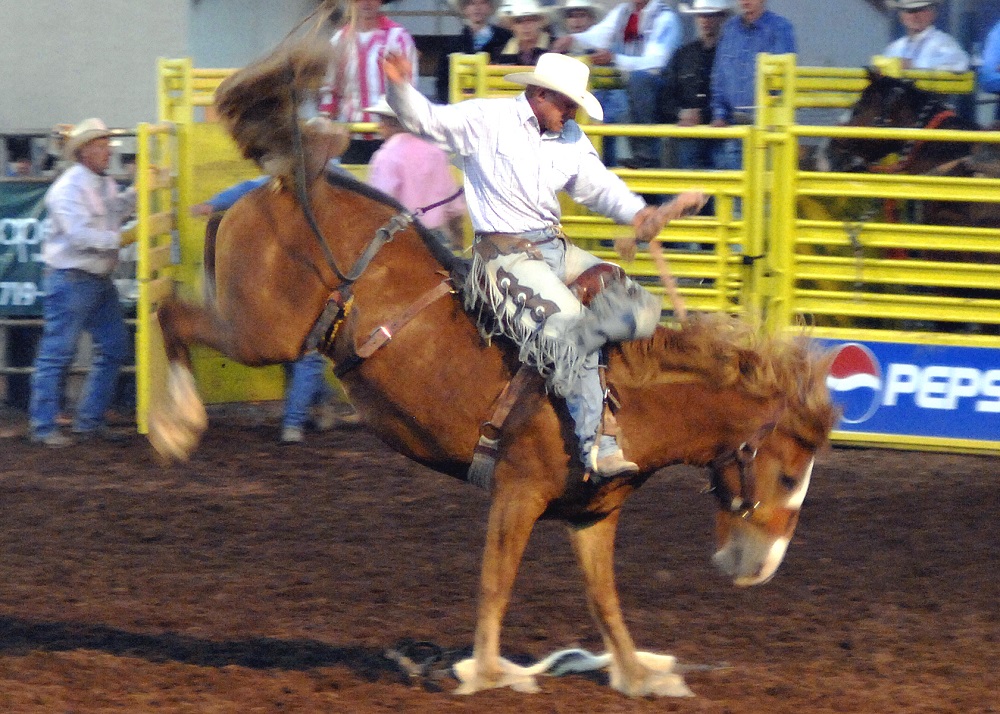 if-you-think-cowboys-symbolize-racism-and-sexism-you-re-ignorant