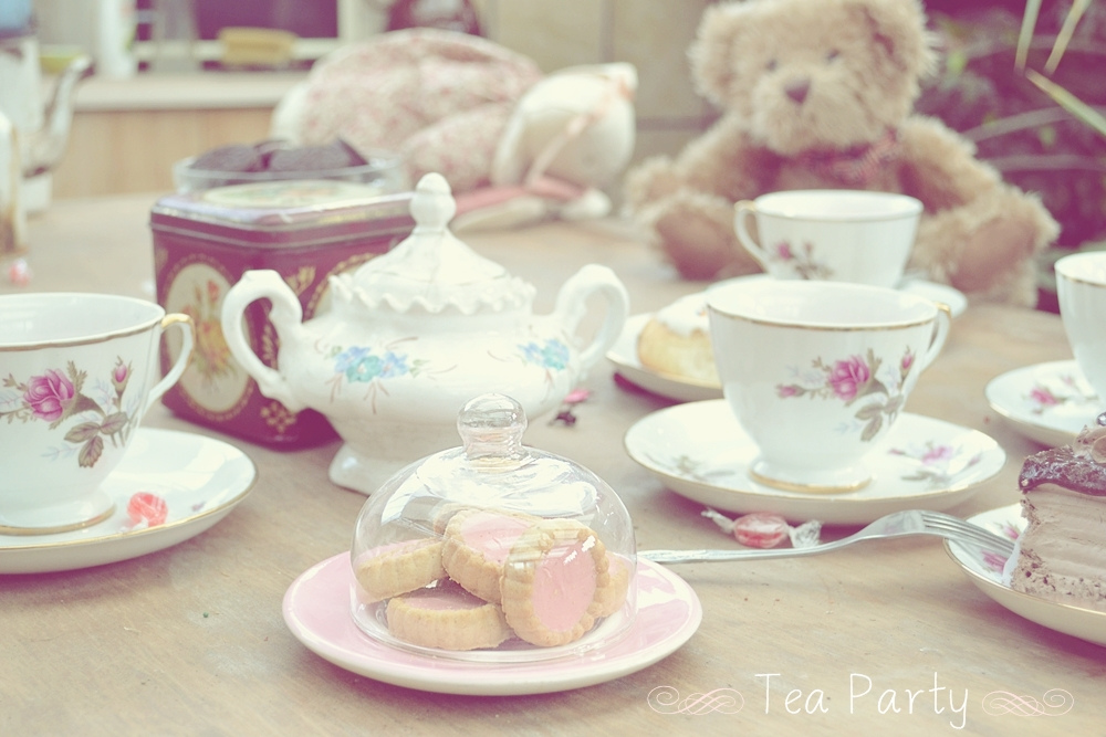 boy tea party set