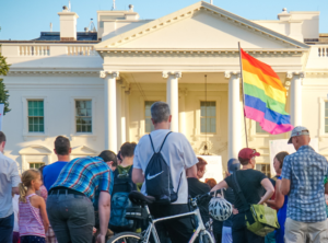 Stonewall Democrats and Log Cabin Republicans on LGBT