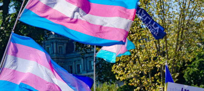 trans flags