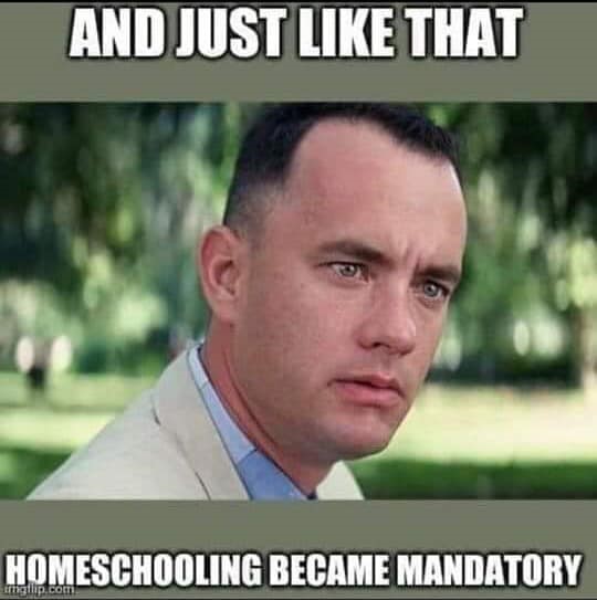 20 Memes That Accurately Describe Homeschooling During The Covid
