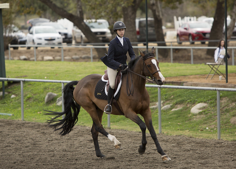 Renowned Equestrian Site Lease Terminated Over 'Racist' Property Name ...