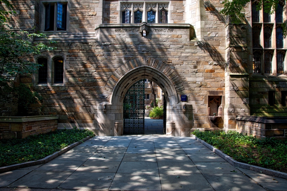 As Lockdowns Mow Down U.S. Universities, China Is Ready To Buy - Vimarsana News
