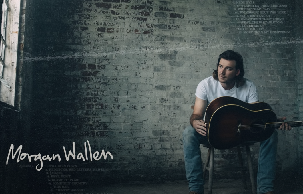 Song is fire #morganwallen #98braves #country #countrymusic #sad, morgan  wallen new album