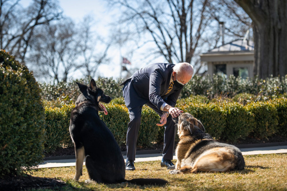 If You Heard Biden is 'Hopeful' And Tucker Carlson Is Evil, Congratulations, You've Been Lied To - Vimarsana News