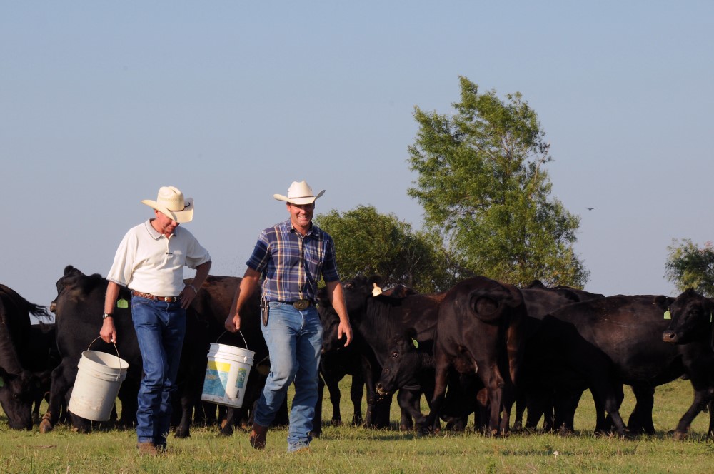 Democrats Ban White Farmers From Federal COVID Relief Program