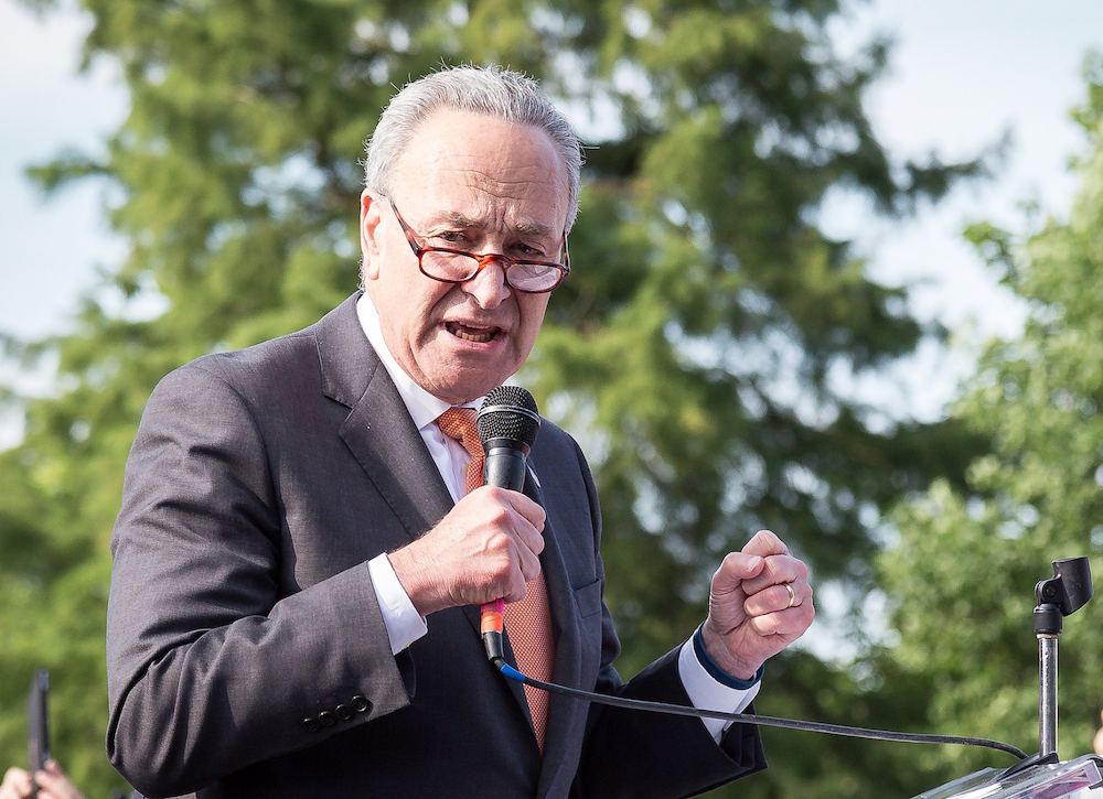 Schumer-Linked Advocacy Group Probed By IRS For Voter Suppression - Vimarsana News