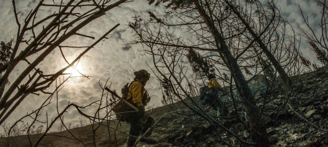 USDA Pic Forest Firefighters