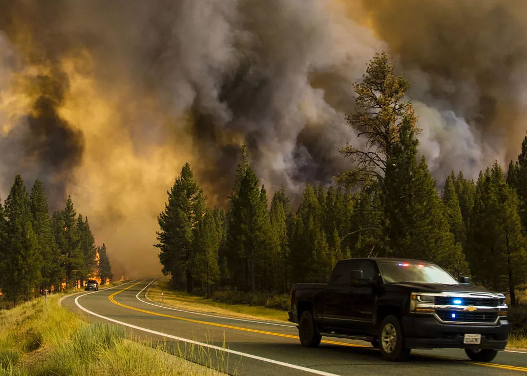 The Devastation From California Wildfires Was Entirely Preventable