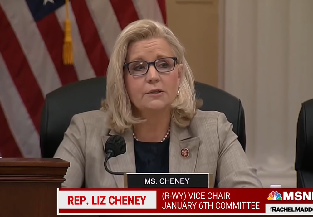 Lincoln Project Donors Are Also Bankrolling Liz Cheney - Vimarsana News