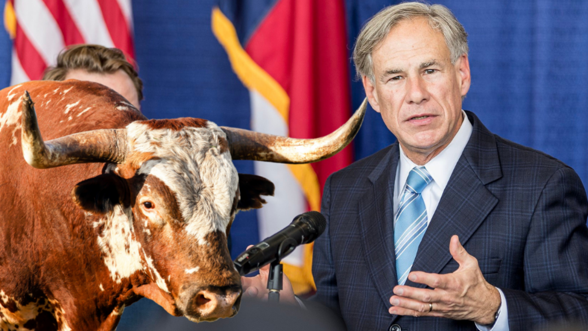 Gov. Greg Abbott and a steer