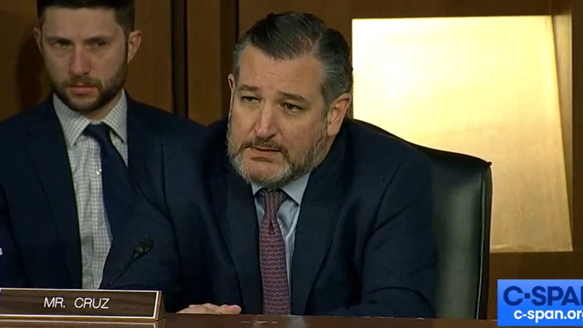 Ted Cruz in Judiciary Committee