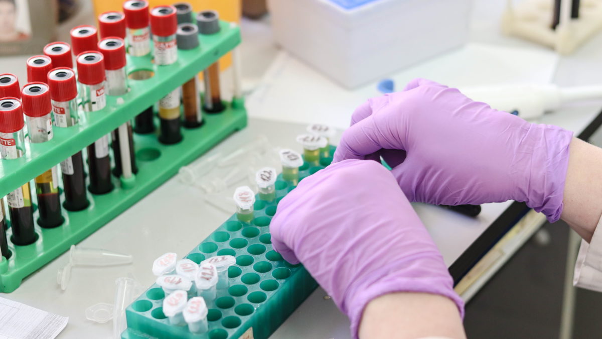 hands arrange blood samples in lab