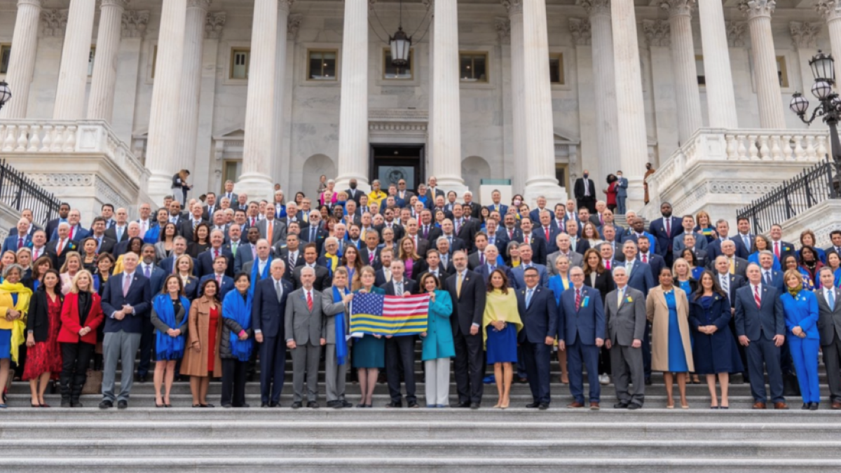 Members of Congress showing solidarity with Ukraine