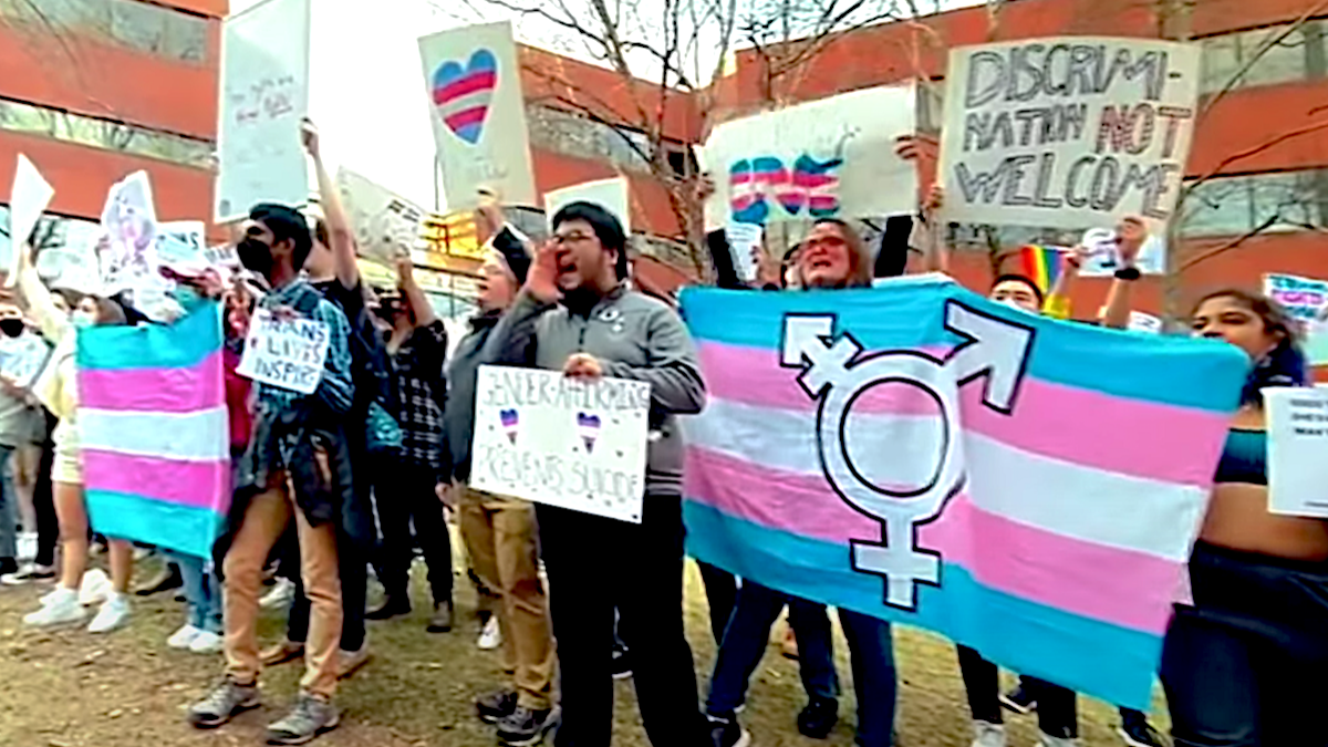 miserable left-wing activists holding transgender flags
