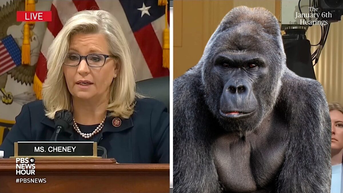 Cheney and Gorilla
