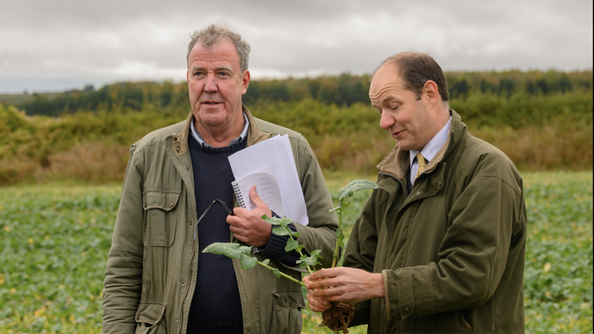 two men standing in field discussing plants