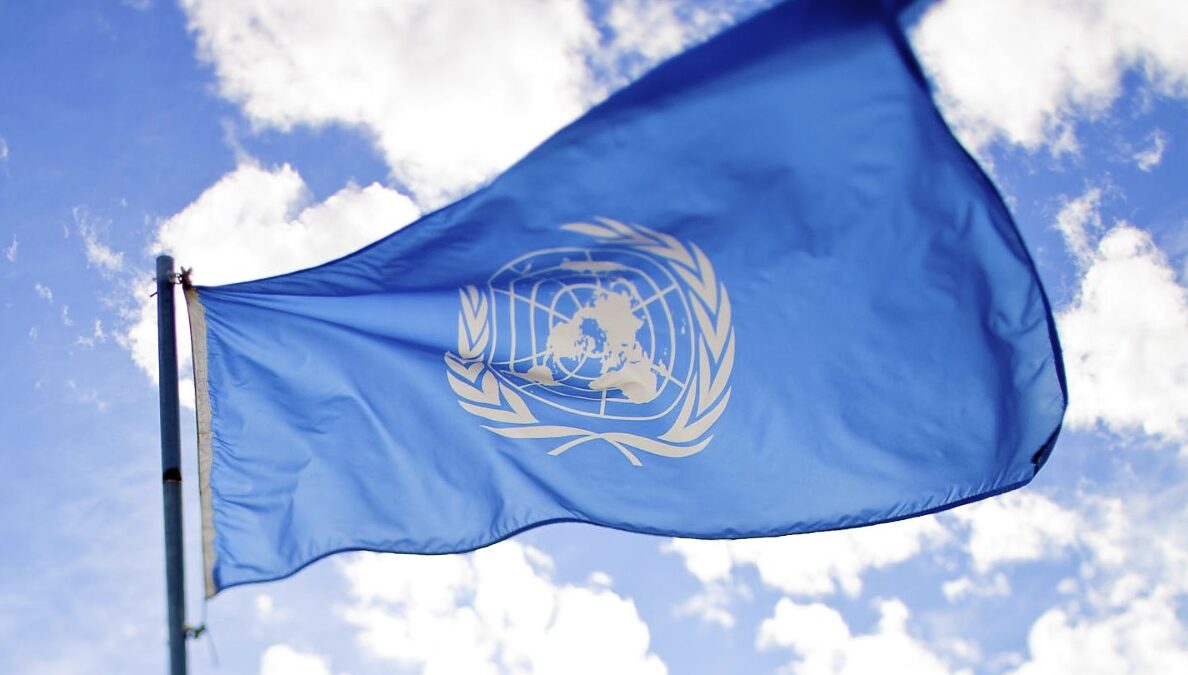 UN-Programm, das Kindern „SEL“ beibringt, zielt in Wirklichkeit darauf ab, den Individualismus zu töten