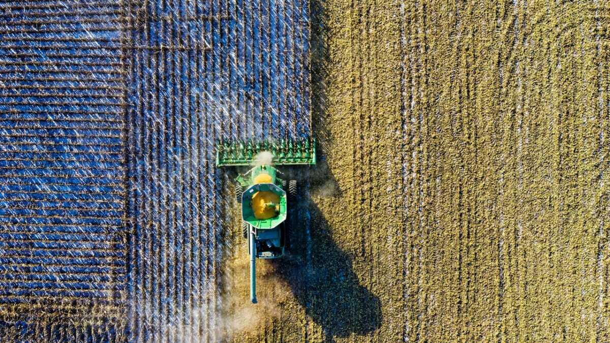 Tractor plowing fields of corn