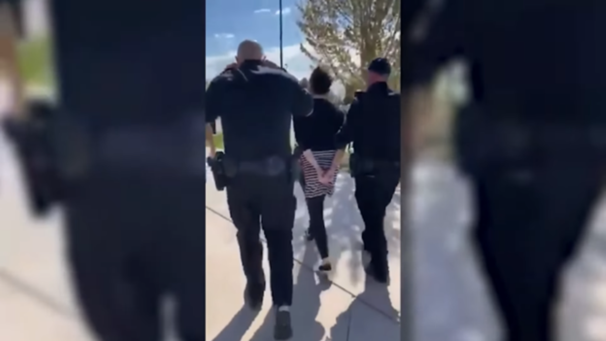 Idaho mom Sara Brady getting arrested at the playground