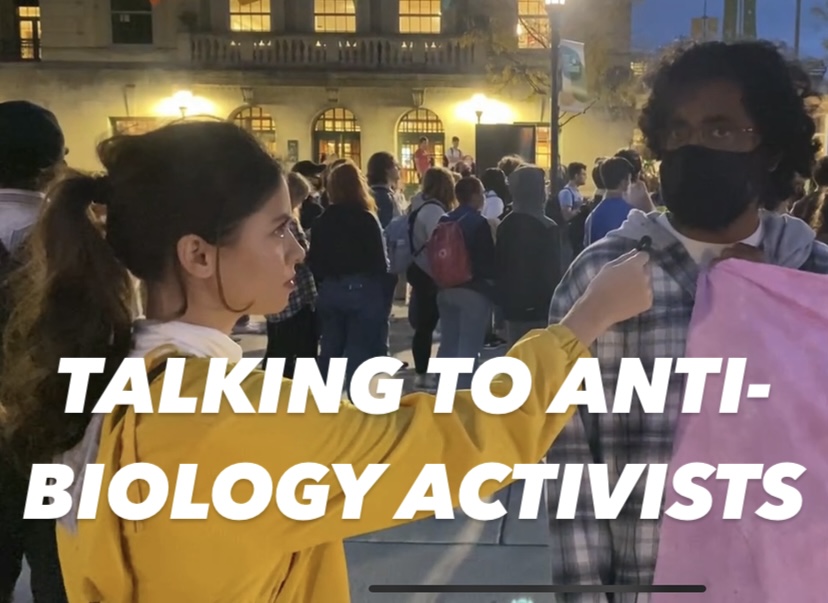 What Is A Woman Evita Duffy Asks Anti Biology Activists