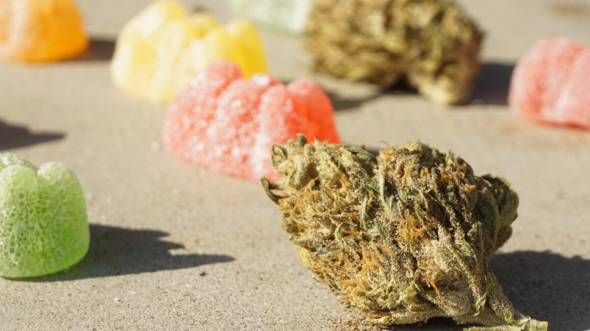 buds of marijuana sitting among gummy edibles