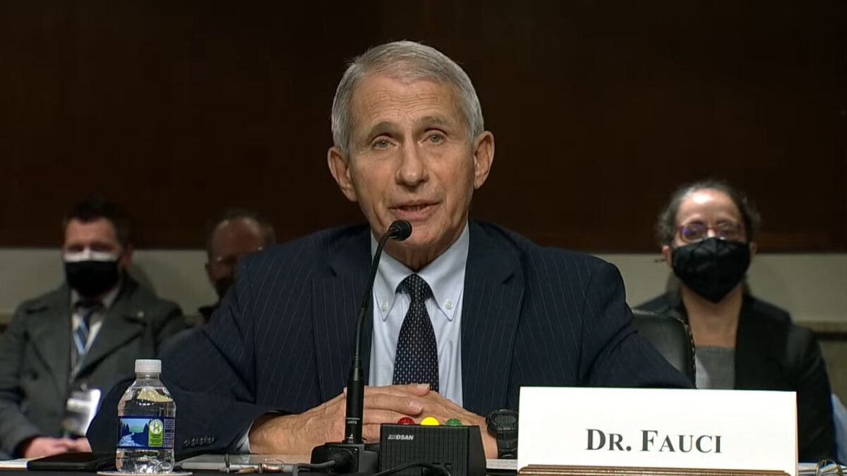 Dr. Anthony Fauci testifying before the U.S. Senate