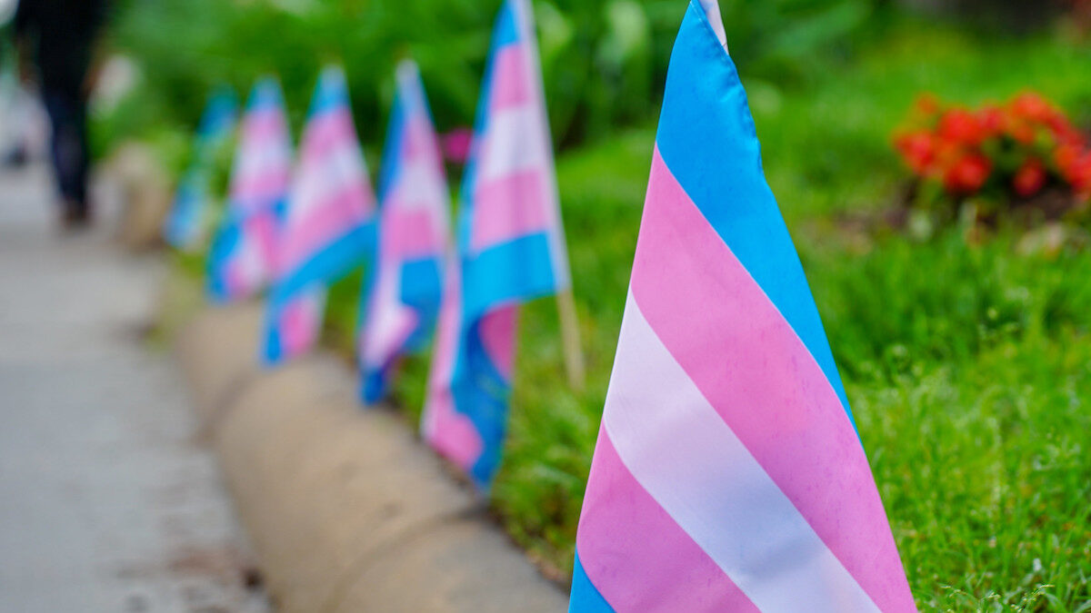 Transgender flags in a row on the curb