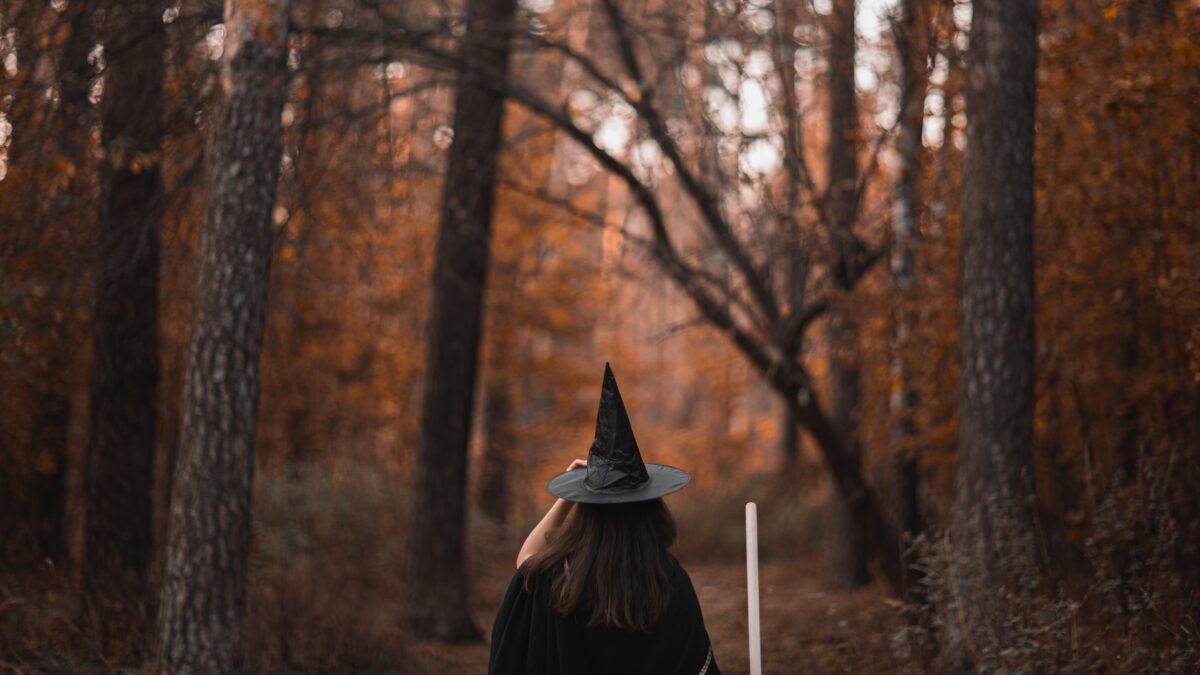 witch in the woods