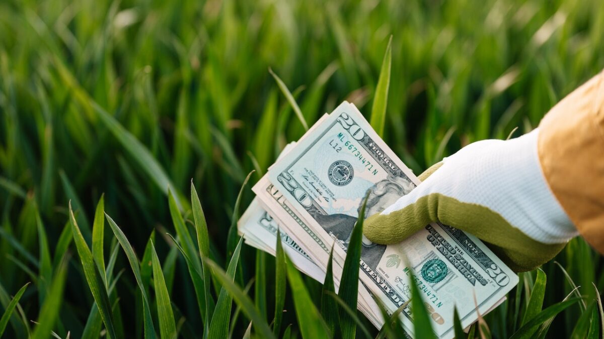 A hand holds money in grass