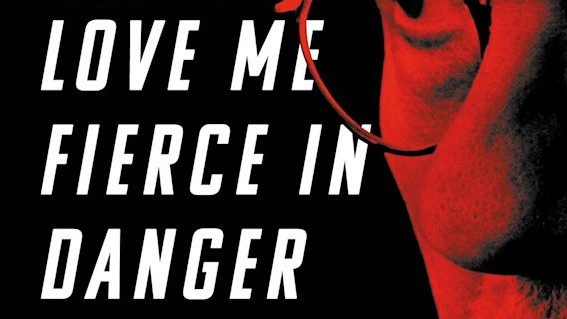 Cover of "Love me fierce in danger" book