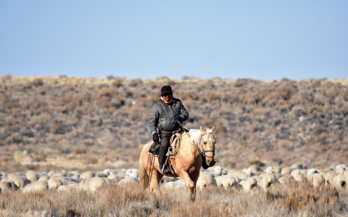 Wyoming lawmakers demand BLM hear from public land users facing ban.