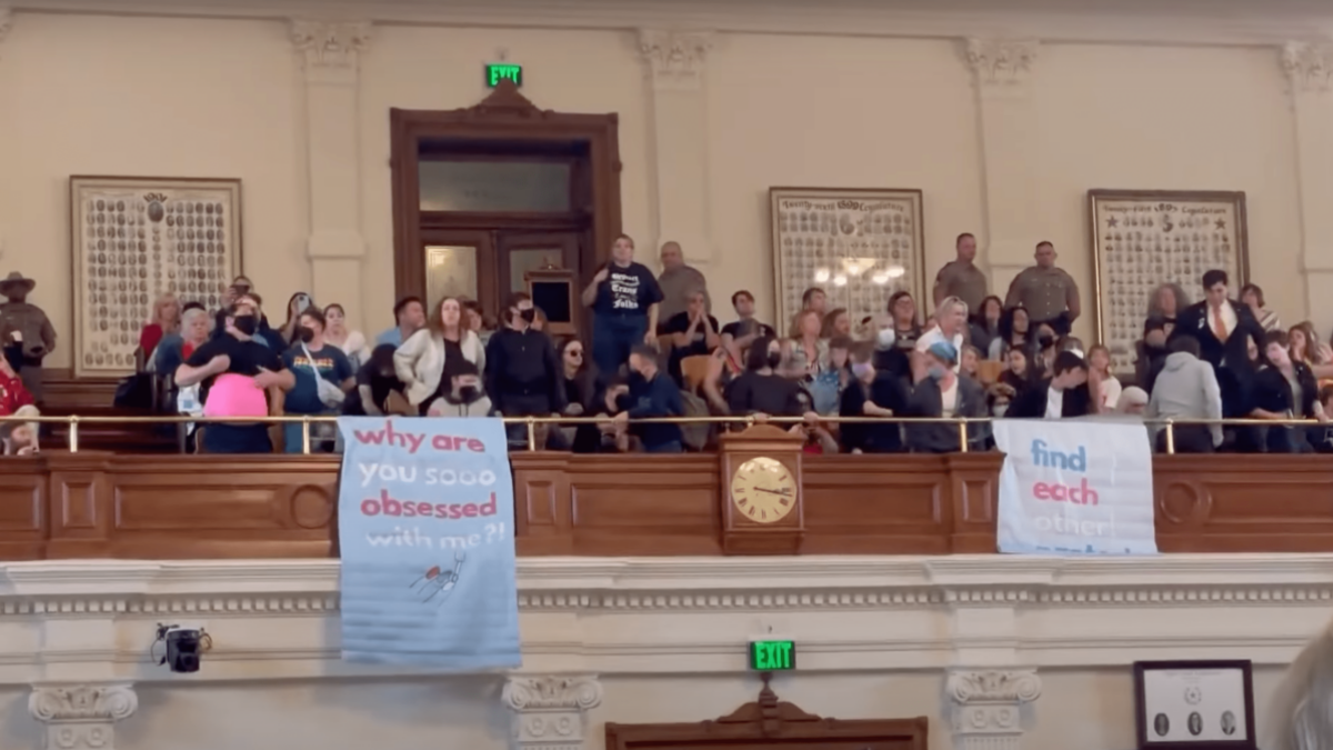 Trans activists invade Texas House gallery