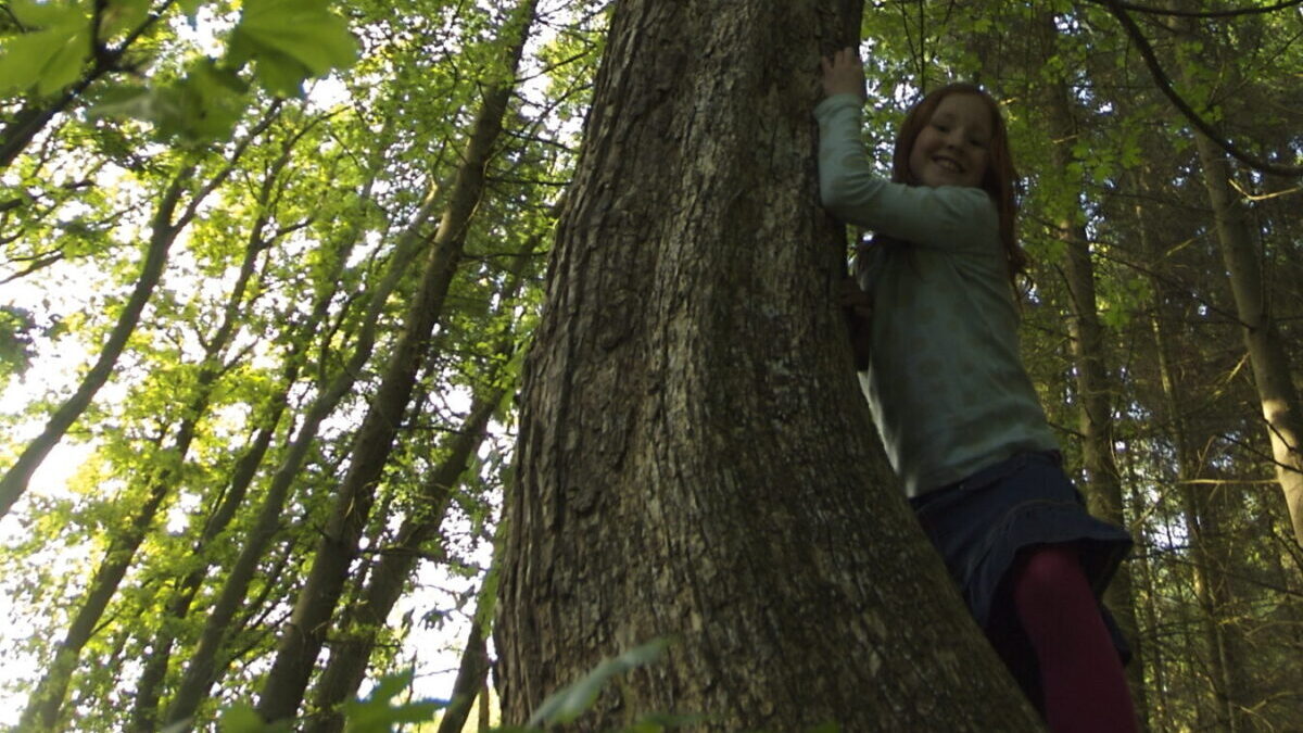 girl tree climbing outdoors