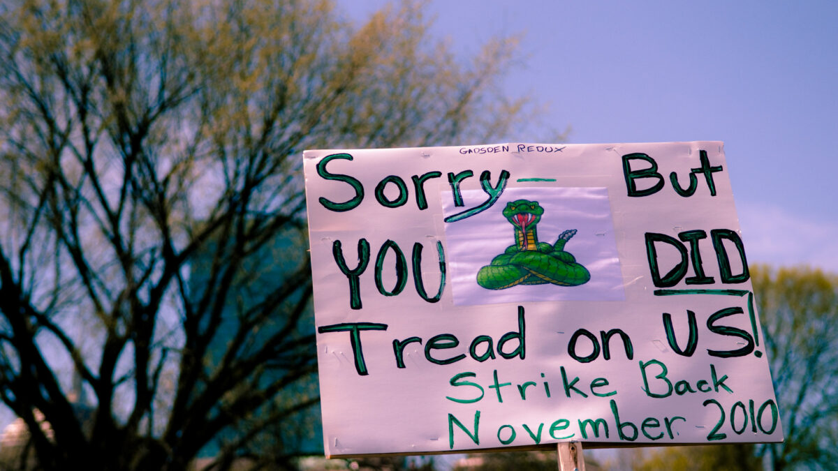 protestor sign at 2010 tea party gathering