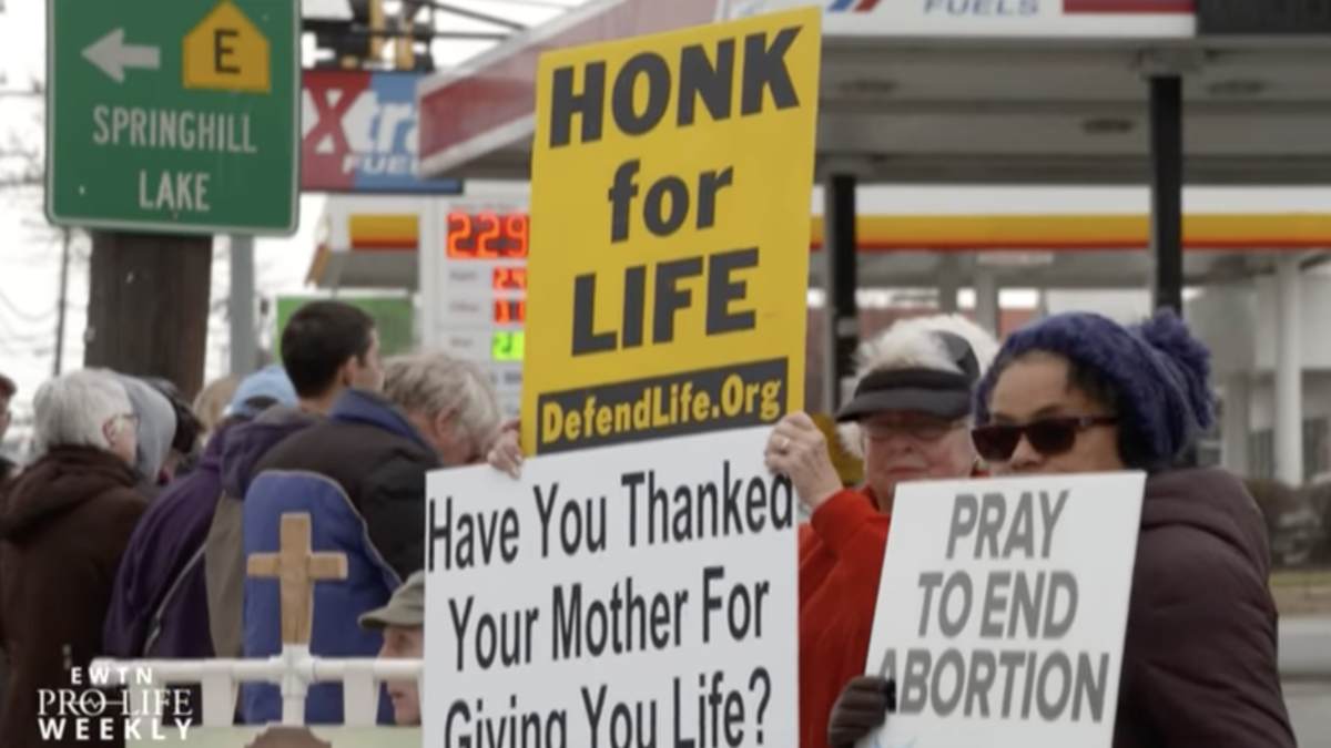 pro-life protest signs