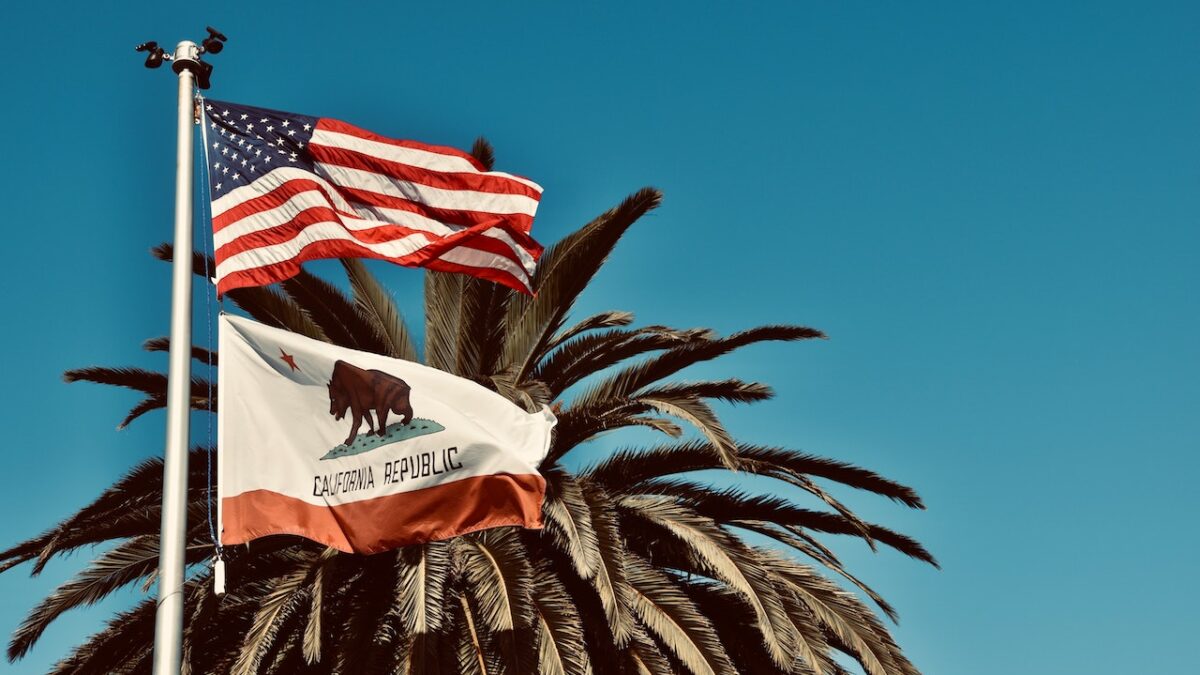 American and California flags flying in front of palm tree