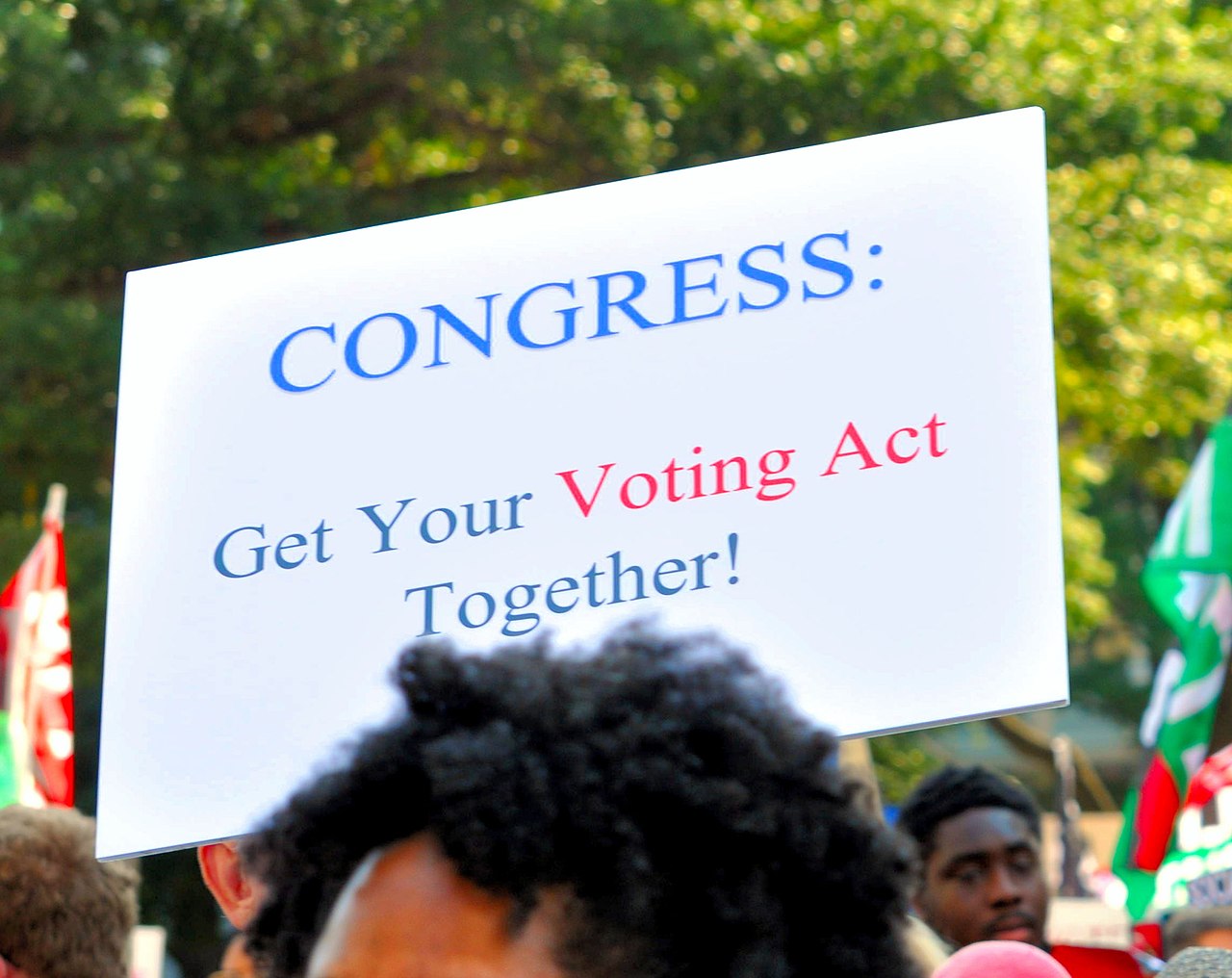 Court: Unless Congress Clears Up The Voting Rights Act, Only The AG Can Enforce Section 2